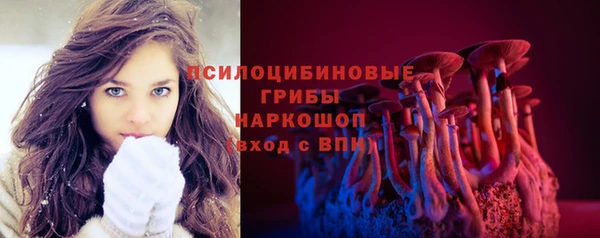 прущий лед Новозыбков