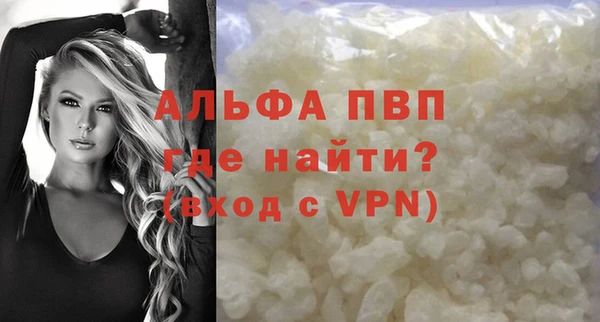 прущий лед Новозыбков