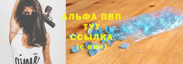 прущий лед Новозыбков