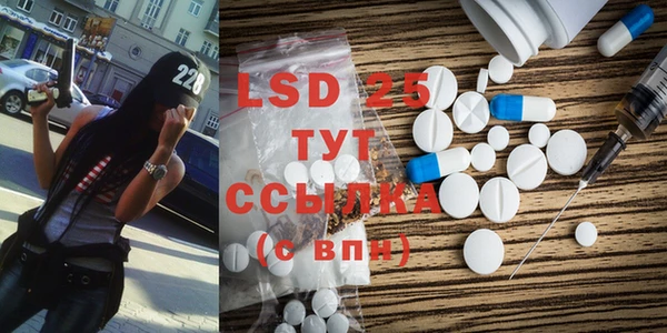 прущий лед Новозыбков