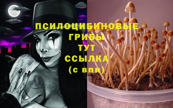 прущие крисы Новокубанск