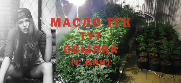 прущий лед Новозыбков
