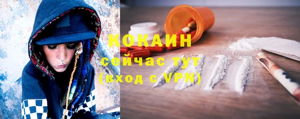 прущий лед Новозыбков