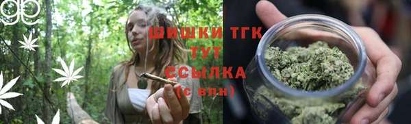 прущий лед Новозыбков