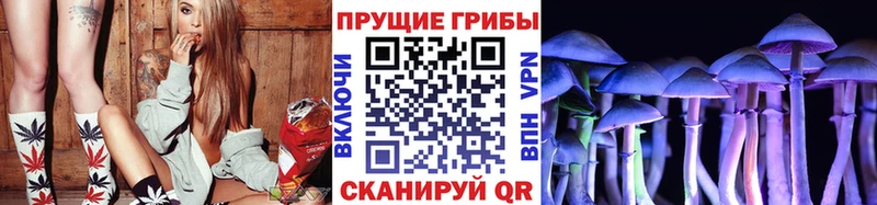 Галлюциногенные грибы мухоморы  дарк нет Telegram  Салават  наркотики 